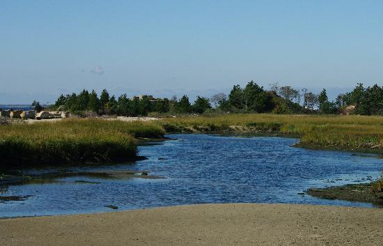 New Jersey Sea Grant Consortium