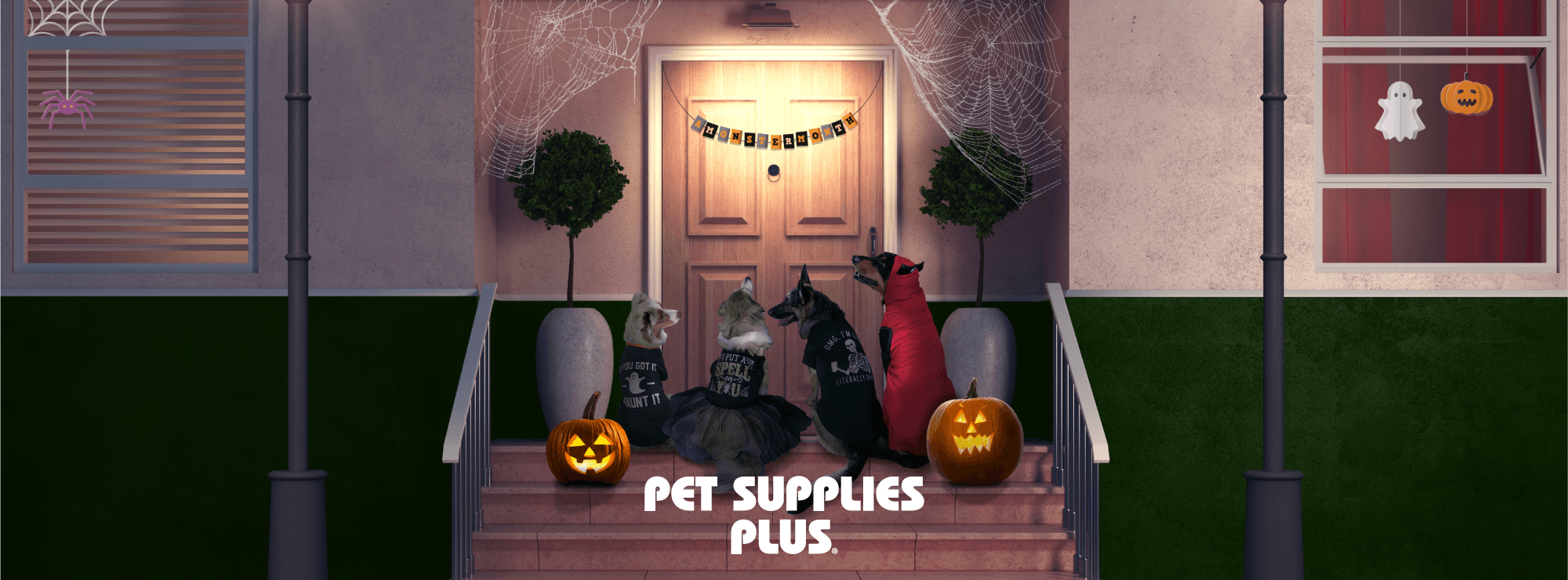 Pet Supplies Plus Lake Ronkonkoma