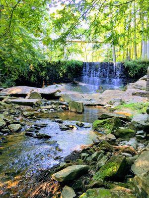 Beautiful waterfall off the trail