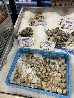 Oysters