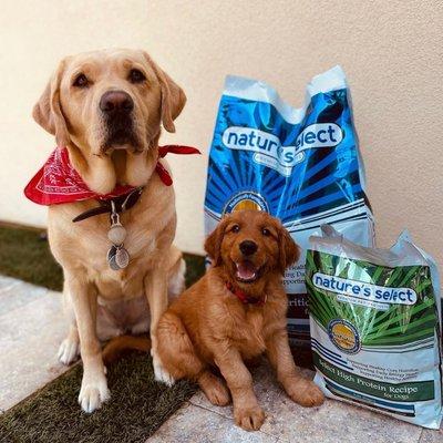 Happy Pups Choose Nature's Select Pet Food!