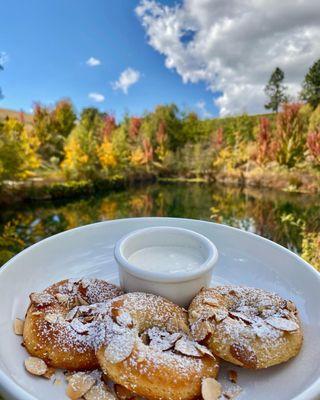 Apple Mochi Donuts.  Gluten free!