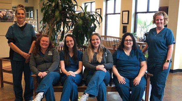 The caring and experienced team of Carriage Hills Animal Hospital and Pet Resort