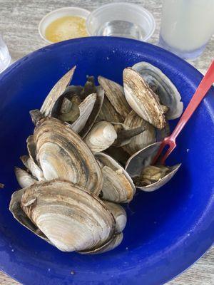 Steamers clams