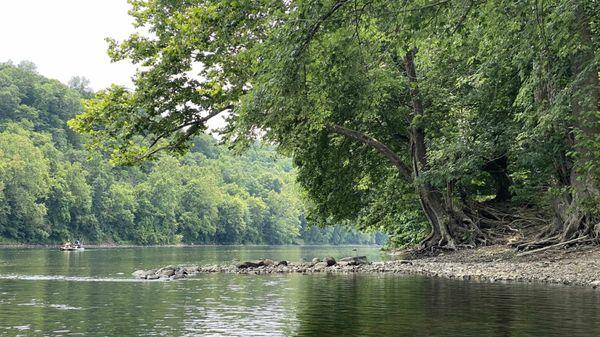 Another view of the WV bank of the Potomac river from the kayak. I was on the WV side trying to catch the shade of the trees.