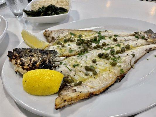 LAVRAKIIIII (branzino)