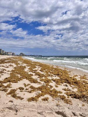 La playa en Mayo.