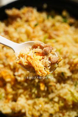 Chicken & Salted Fish Fried Rice