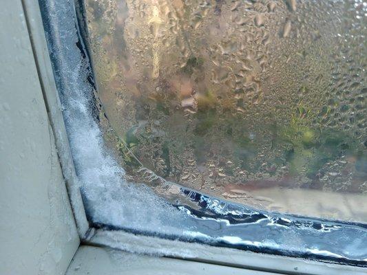 Ice formed inside my bedroom window