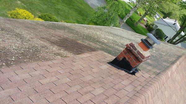 roof cleaning