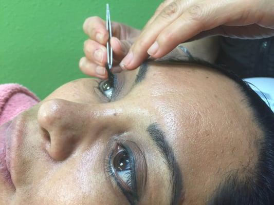 Eyelash extension - application - by ceci