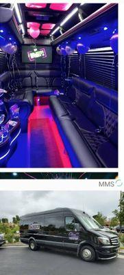 12 passenger Sprinter Limo