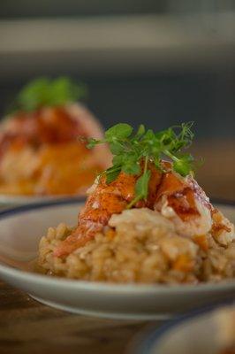 Lobster Risotto Appetizer