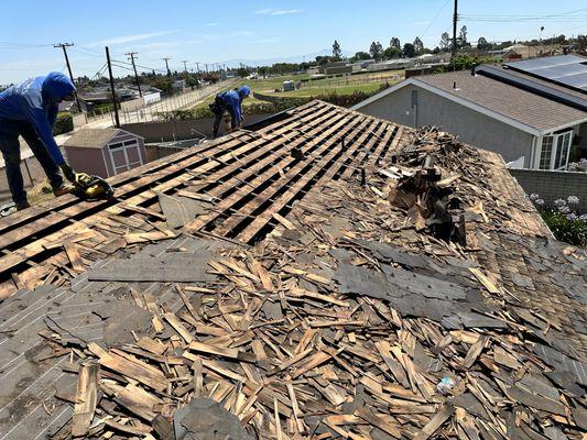 Rotten roof top