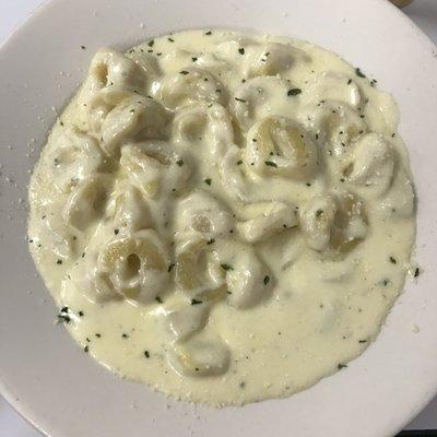 Tortellini Alfredo