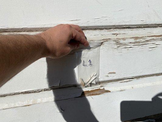 Lead paint chip sample