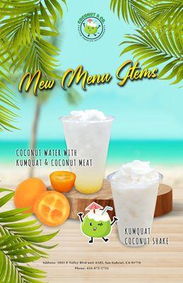 Kumquat Coconut Water with Coconut Meat

Kumquat Coconut Shake