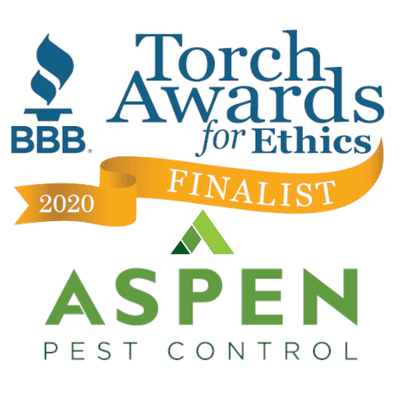 Aspen is a proud finalist for the 2020 Torch Awards for Ethics