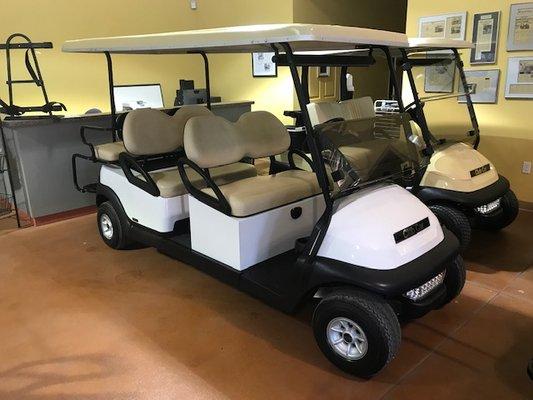 Golf & Electric Vehicles Inc