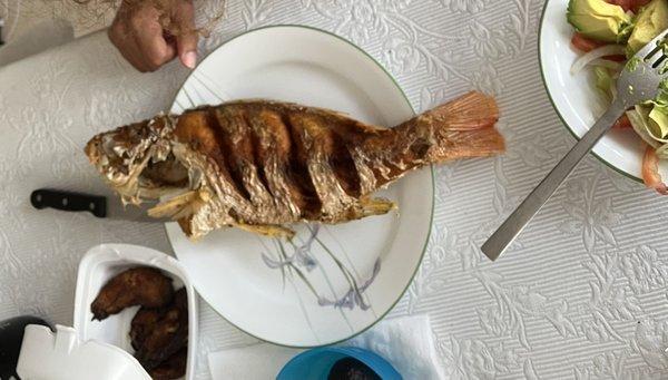 Fresh whole snapper fried fish