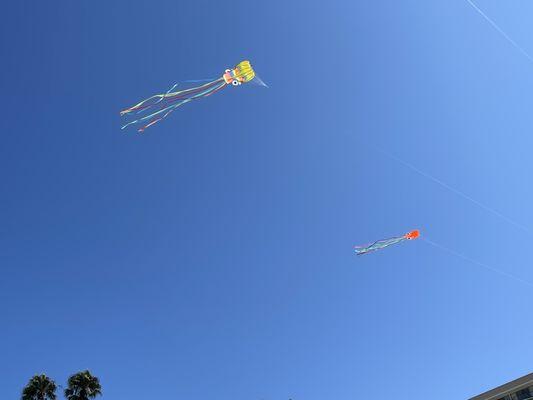 Kites