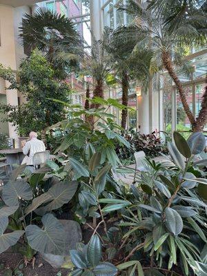 Indoor arboretum  sitting area outside Polaris cafe