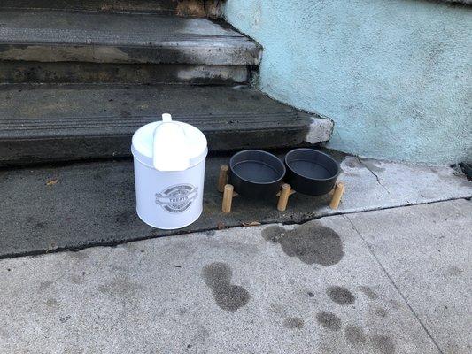 Dog bowls for your furry! Super thoughtful!