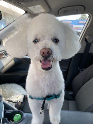 Boo post groom