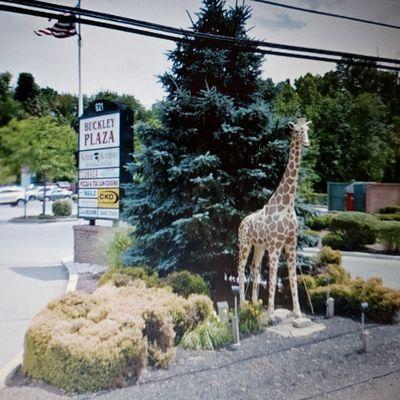 Located in Buckley Plaza on US Highway 130 (Yes, the one with the giraffe!)