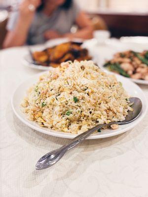 Salted Fish & Diced Chicken Fried Rice