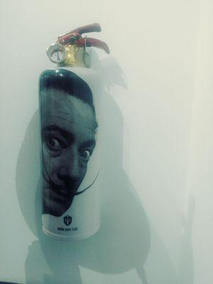 Dali fire extinguisher