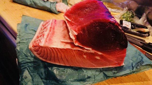 Blue fin tuna TORO