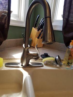 New Delta Kitchen Faucet