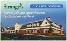 Stranges Mechanicsville location