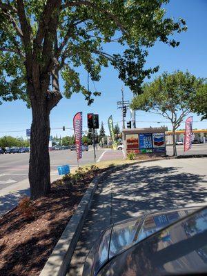 Shady spot to park and towel dry after automatic car wash