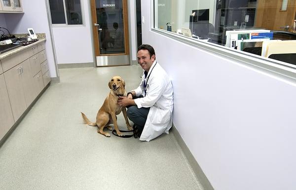 Friendly veterinarians in Orange, CA