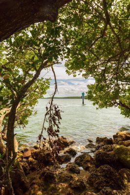 Jetty Walk