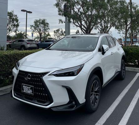 2024 Lexus NX 350h Premium