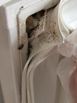 Roach infested fridge