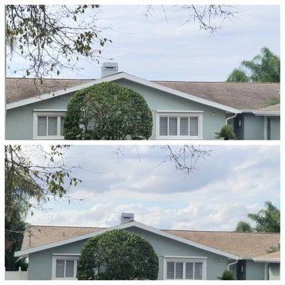 Before and After Roof Clean