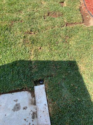 Fixed sprinkler line, didn't damage my SOD.