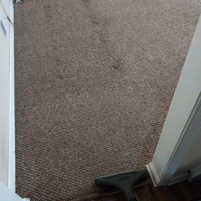 Residential Carpet Cleaning