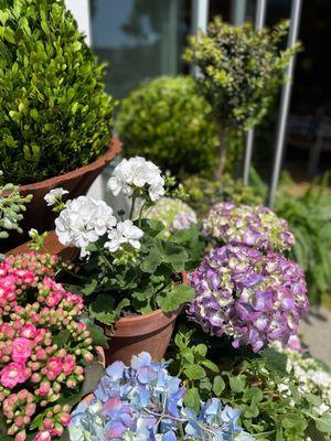 A wide variety of unique and beautiful terracota pots