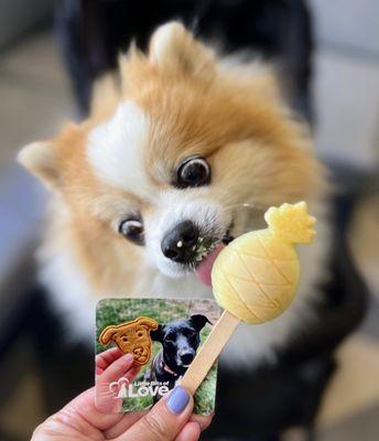 Goat Milk Pupsicle | Small - $3 (@Makers Market Artisan Faire, Santana Row)