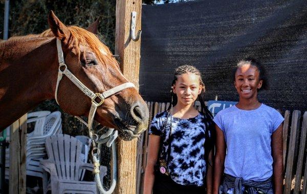 Great healthy stables.