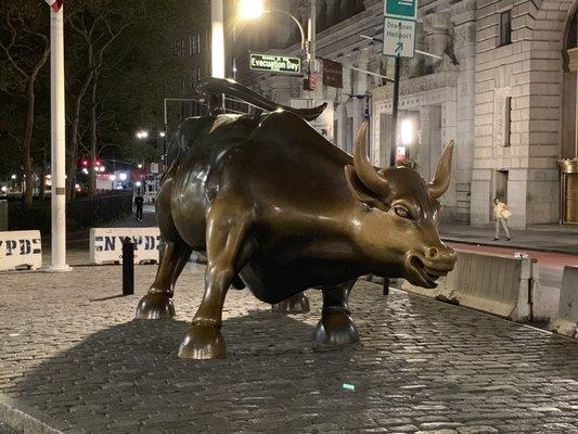 The Charging Bull in front of our office. Come grab it's balls :) (Google it if you have not heard of it)