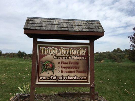 Toigo Orchards