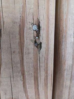 Dozens of exposed nails not nailed properly. Some nails almost go through the boards due to the nailhun not being set properly.