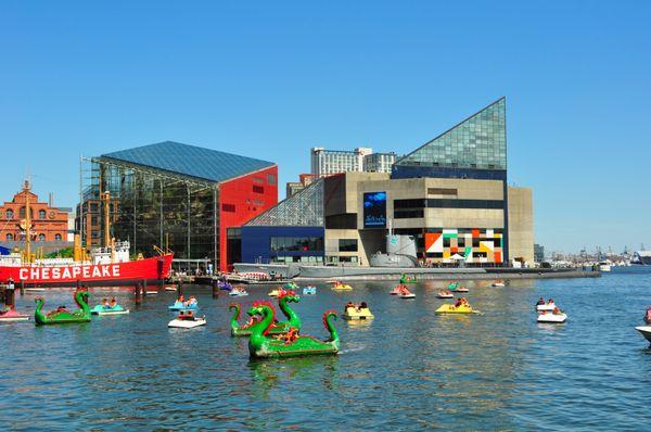 National Aquarium in Baltimore, Maryland.