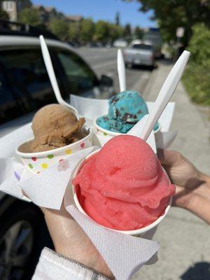 Guayaba (guava), tamarind, and Cookie Monster (mini size)